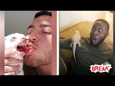 趣味视频 2019